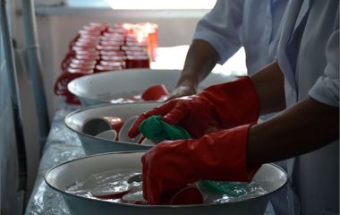 Правила и требования к мытью посуды в детском саду