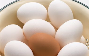 Обработка яйца в детском саду
